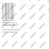 Comprehensive Cosmetic Testing - Image 10